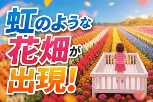 東京ドイツ村「究極のレインボー花畑」今秋初開催！コスモス...