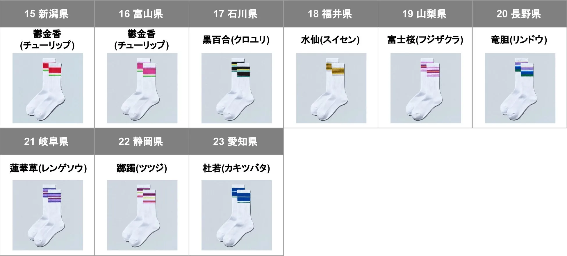 47都道府県のご当地デザインラインソックス画像
