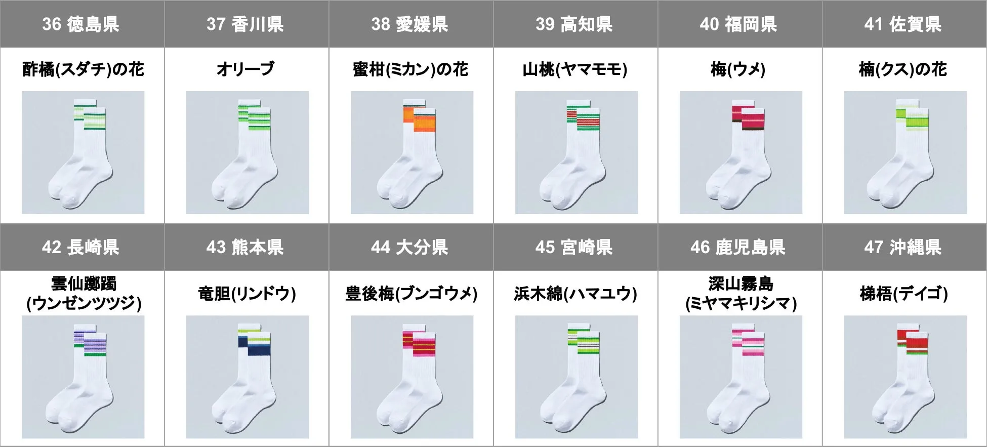 47都道府県ラインソックスのデザイン一覧