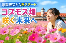 東京ドイツ村の秋を彩るコスモス畑、幾度の大雨を乗り越えて“再・再スタート”