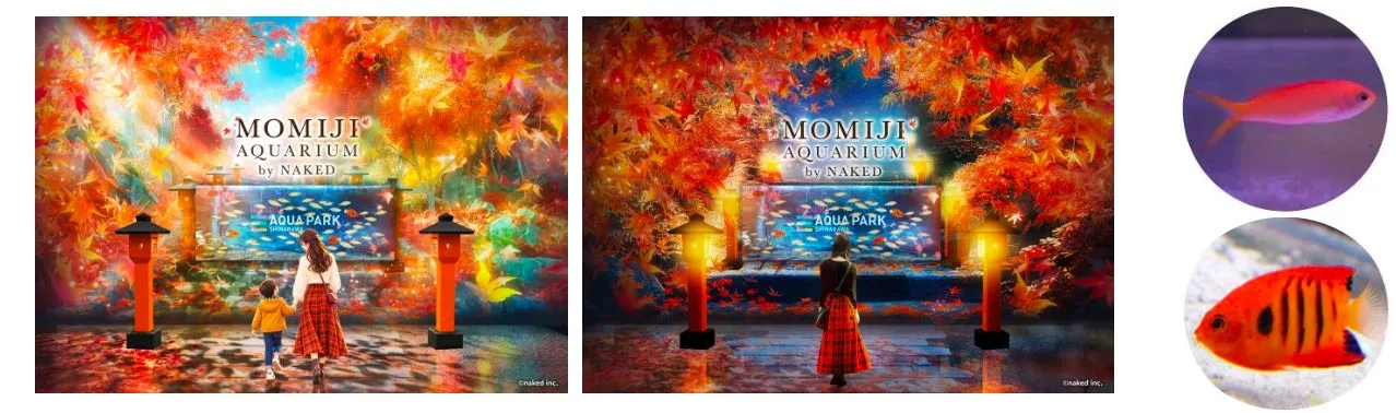 秋の水族館展示と紅葉のアクアパーク