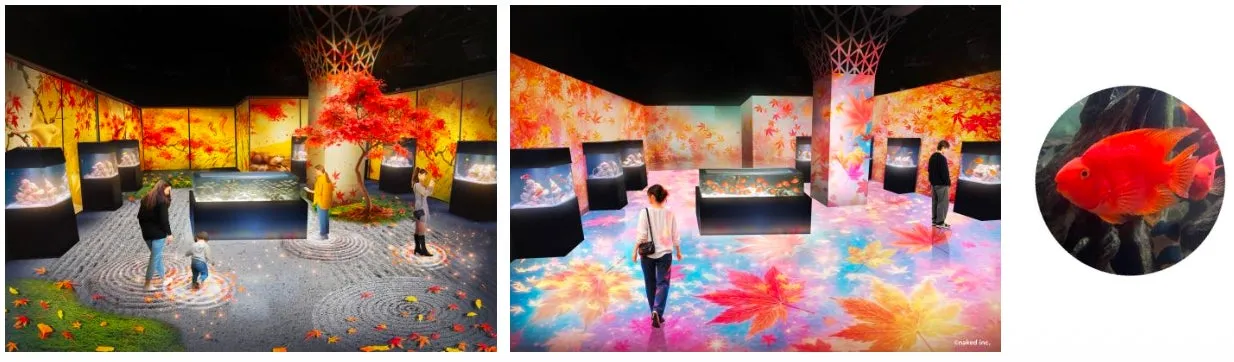 マクセル アクアパーク品川の紅葉水族館展示