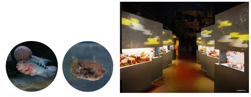 マクセル アクアパーク品川の秋展示と魚