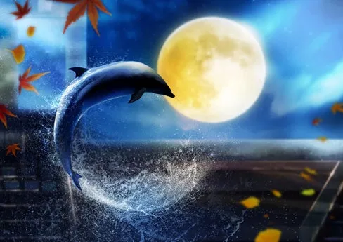 月華紅葉　※イメージ