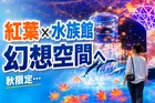品川・マクセルアクアパークで楽しむ秋の紅葉水族館「MOMIJI AQUARIUM by NAKED」2026年開催情報