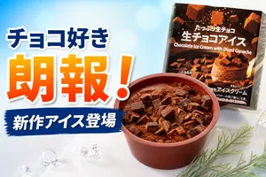 セブンプレミアム生チョコアイス新発売！濃厚生チョコとアイ...