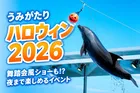 上越市立水族博物館「うみがたりハロウィン2026」イルカショーや限定体験が楽しめる秋の特別イベント