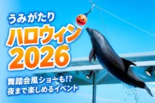 上越市立水族博物館「うみがたりハロウィン2026」イルカショーや限定体験が楽しめる秋の特別イベント
