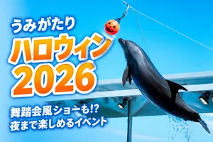 上越市立水族博物館「うみがたりハロウィン2026」イルカショ...