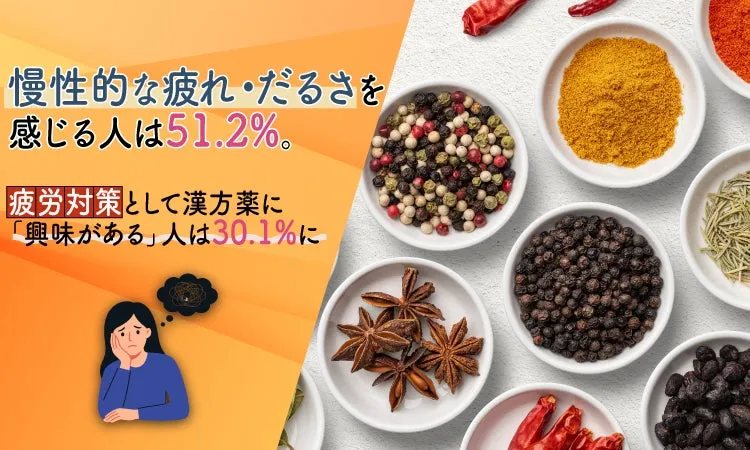 疲労対策に漢方薬の関心とスパイスの小鉢