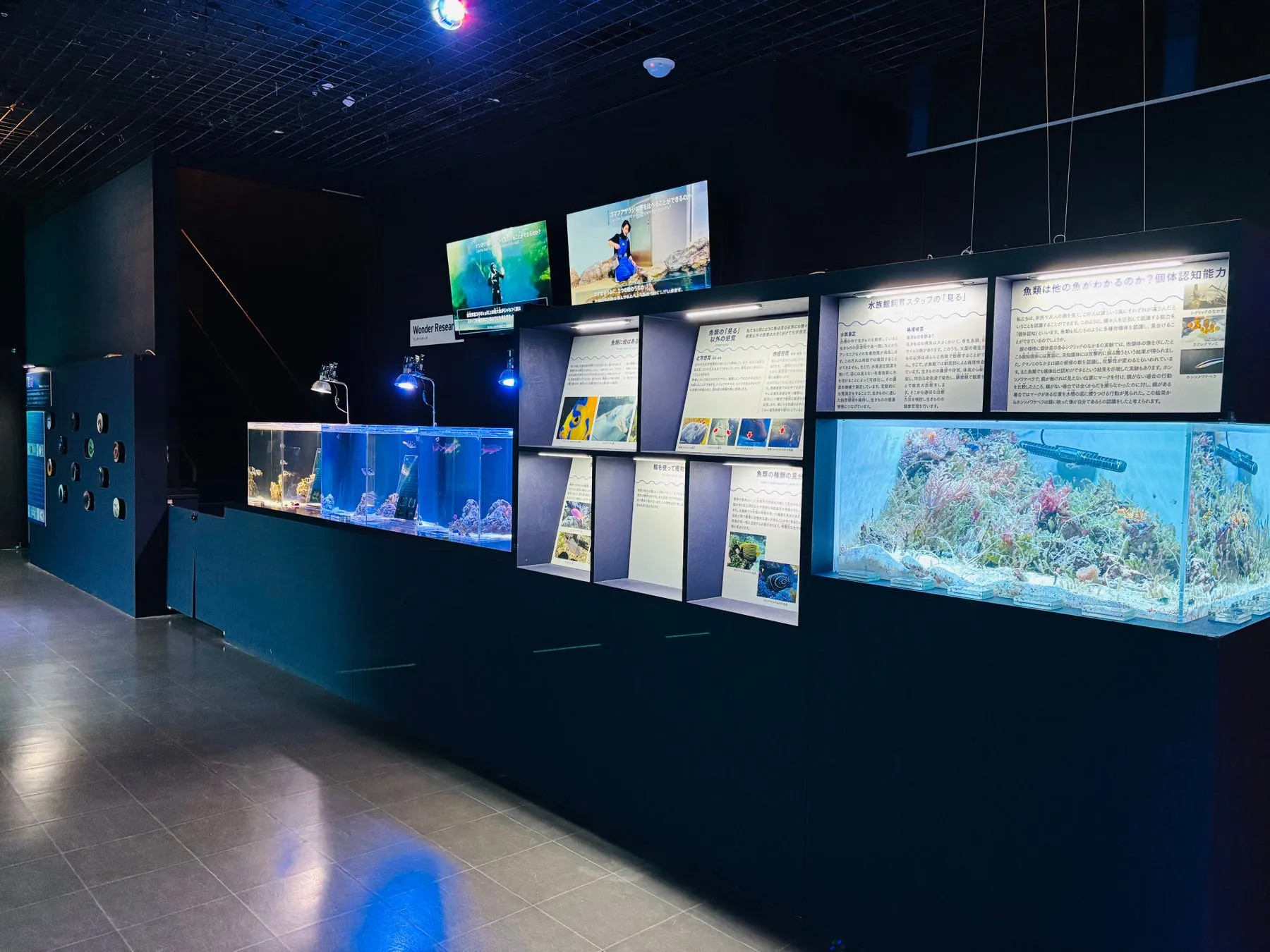 アクアパーク品川の展示エリア、SDGs14関連