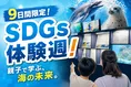 マクセル アクアパーク品川で開催！9日間限定「SDGsウィーク」で海の未...