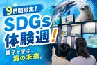 マクセル アクアパーク品川で開催！9日間限定「SDGsウィーク」で海の未来を学ぼう
