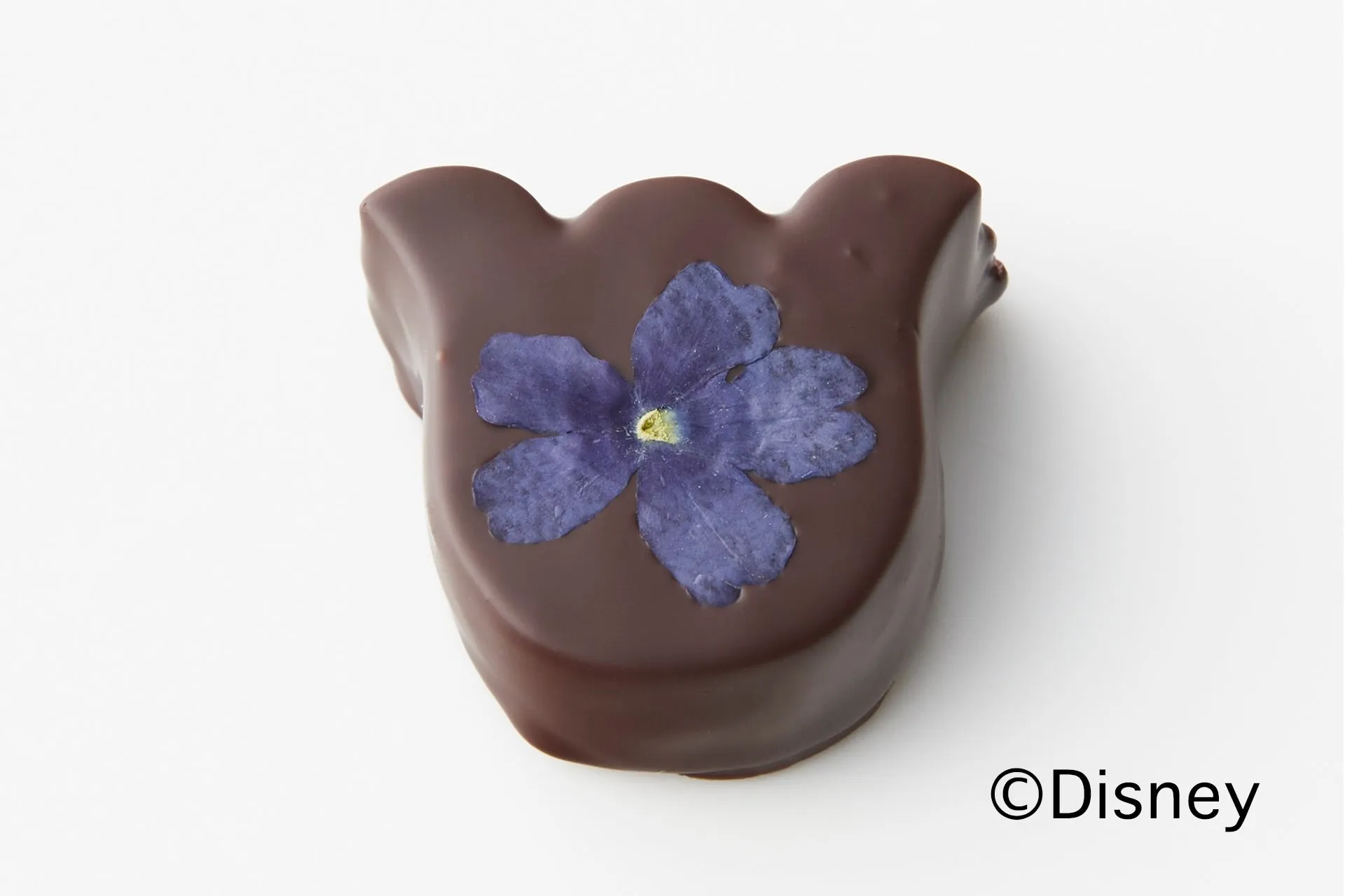 ブルーベリーを使ったパート・ド・フリュイとホワイトチョコの2層仕立てショコラ