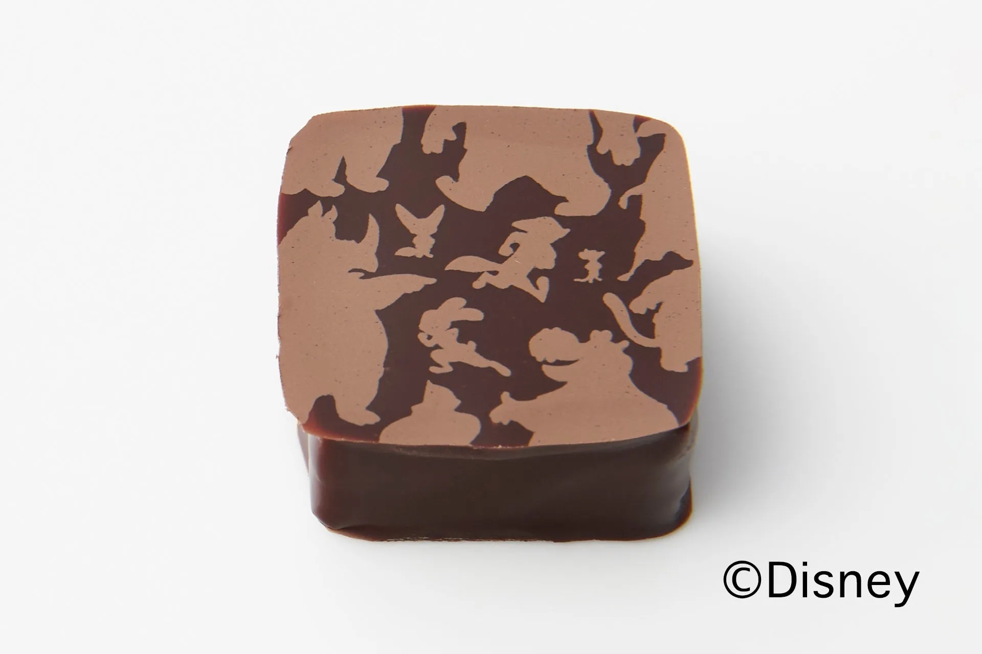 どうぶつたちの個性をイメージした5種類のチョコを重ね合わせたショコラ