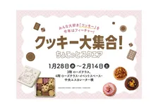タカシマヤゲートタワーモールにクッキー大集合！バレンタイン限定＆人気スイーツが勢ぞろい