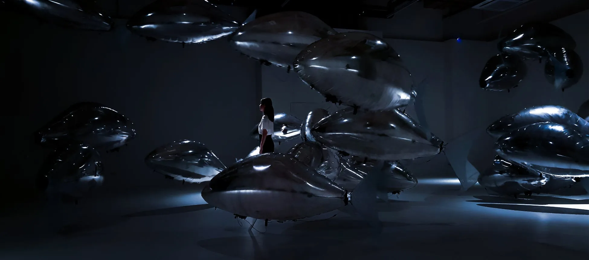 bit.studioの宙に浮遊する魚の超自然体験