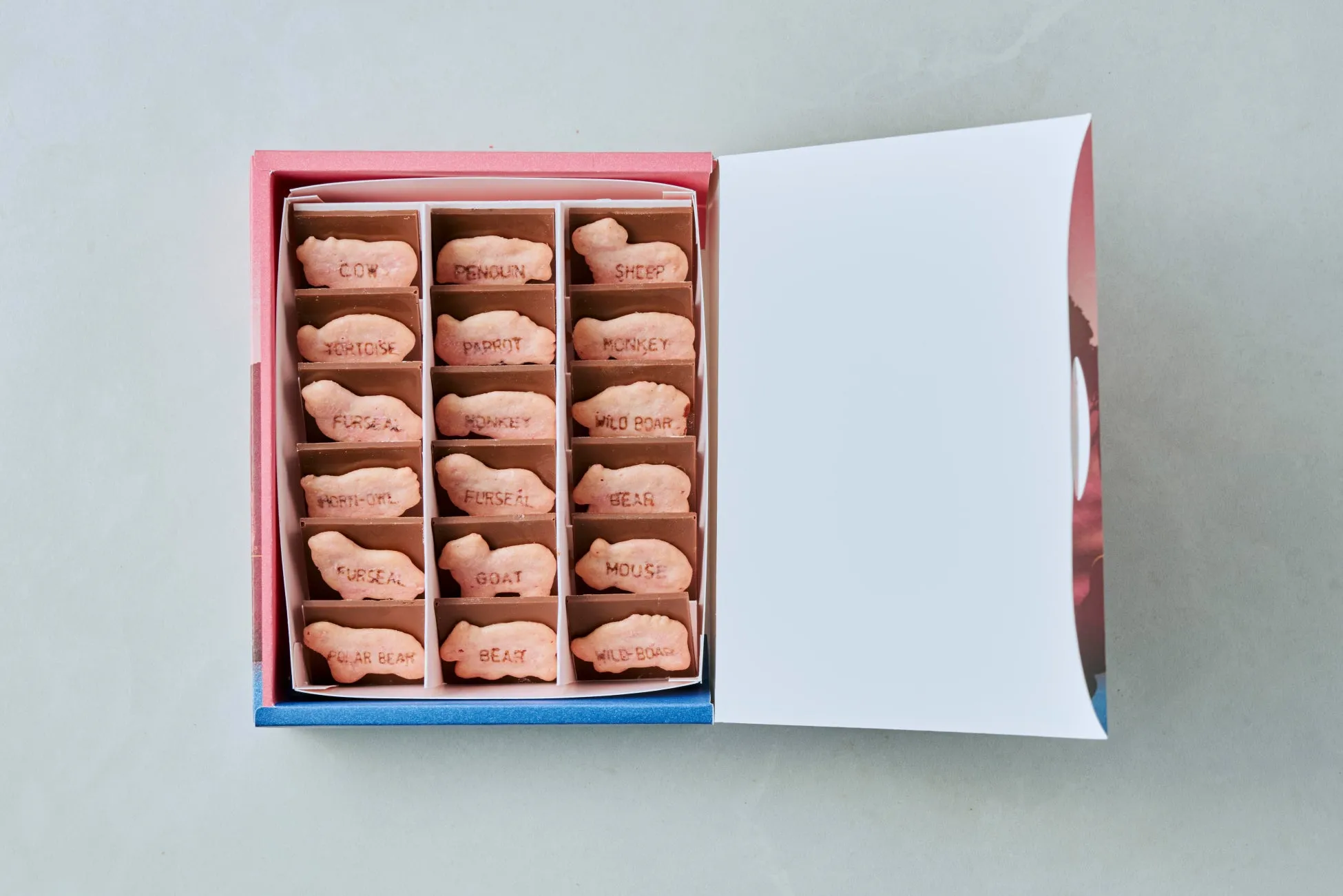 こだわりのいちご × カレショコラの贅沢チョコスイーツ【BANKたべっ子どうぶつ】