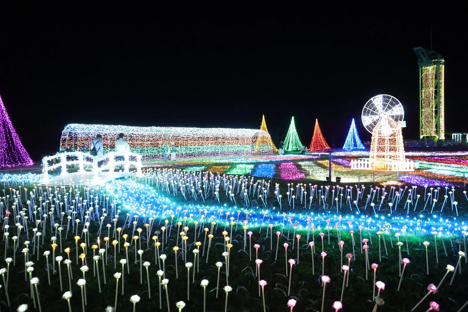 夜の牧場イルミネーションと風車