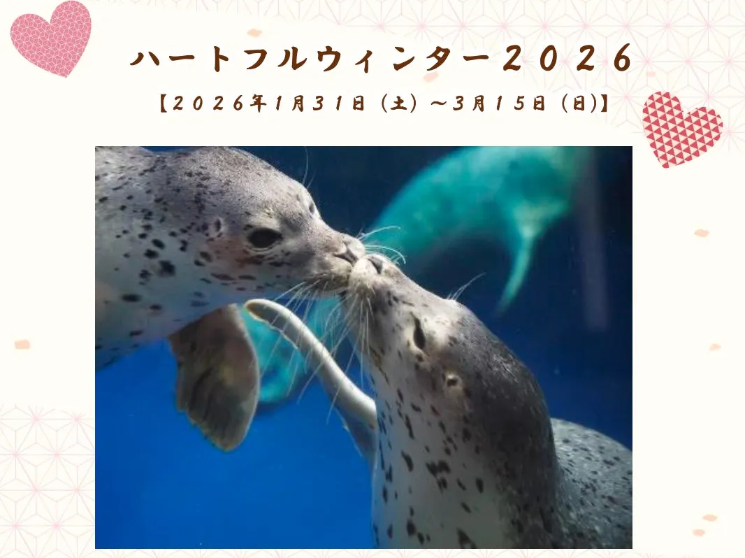 アザラシが寄り添うハートフルウィンター2026のイベント画像