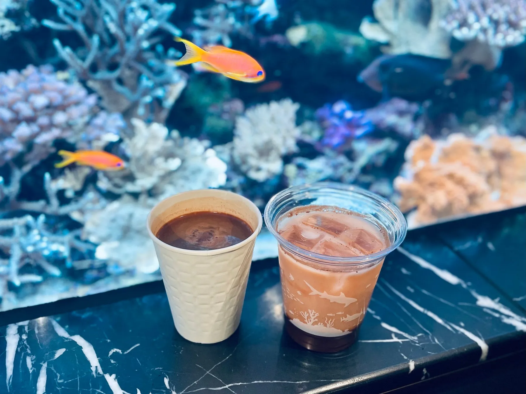 水槽前のホットチョコとアイスドリンク