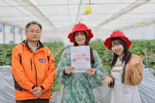 東京ドイツ村で2026年イチゴ狩り開幕！