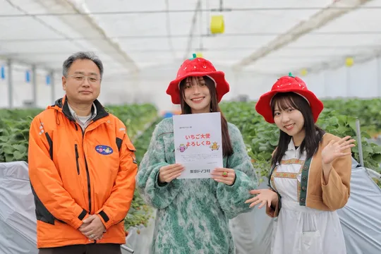 東京ドイツ村で2026年イチゴ狩り開幕！