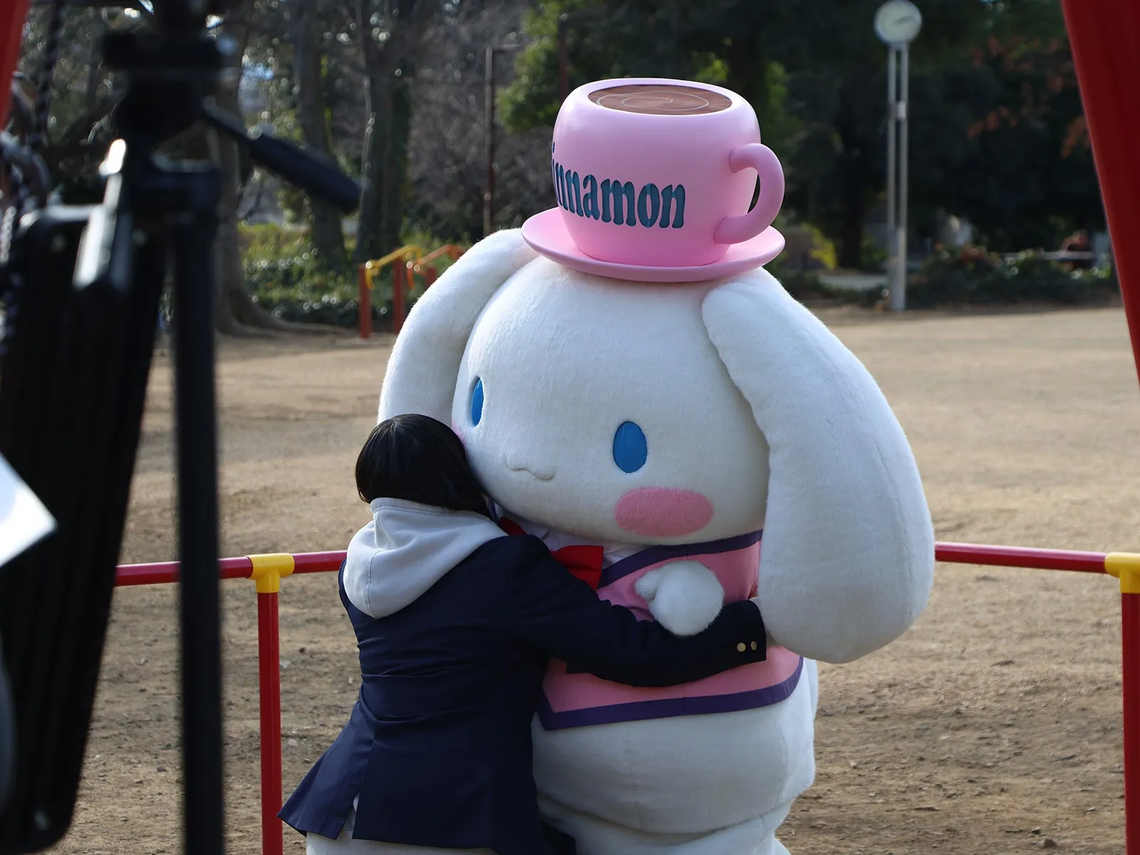 サンリオのキャラクターと人が公園でハグ