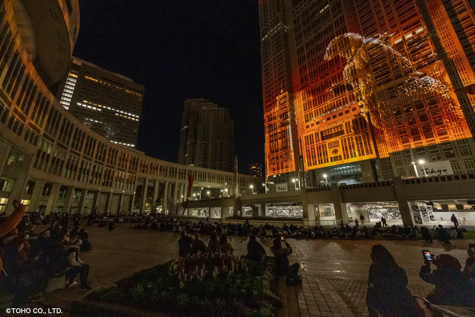 東京都庁舎夜景を背景にしたプロジェクションマッピングの写真
