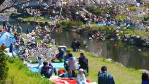 【2026最新】お花見の常識が激変！？『飲酒・マナー』みんな...