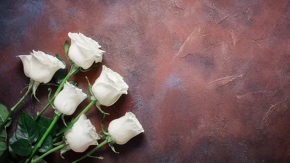 【知らないと危険】葬儀費用を約半数が把握せず