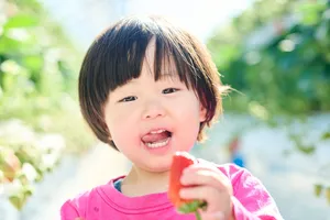 【最新調査】2026年春休みの家族レジャー動向と人気スポット