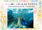水族館で春満開！「サクラ咲くうみがたり」開催