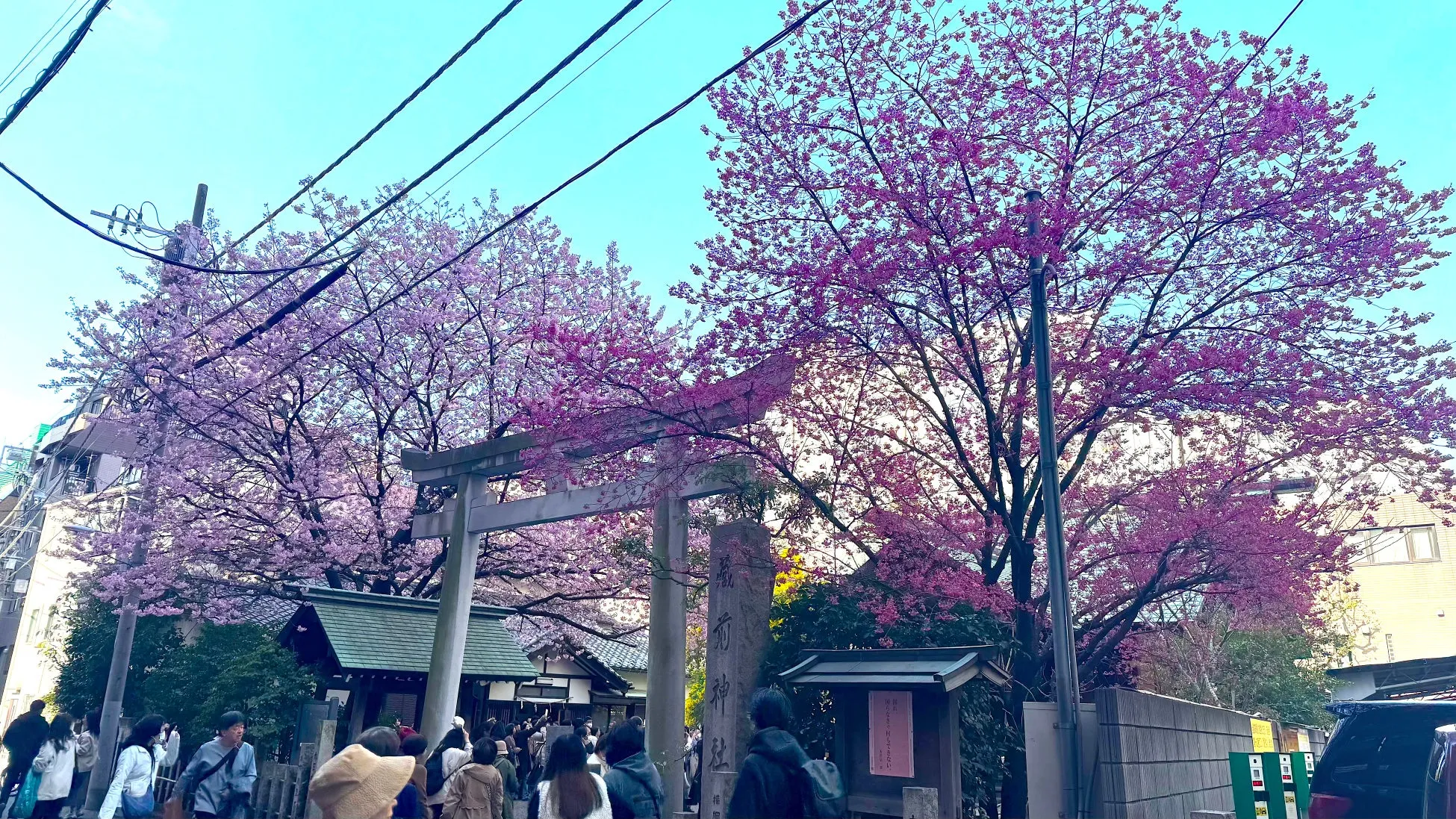 imakoスタッフ撮影による土曜日朝10時時点の蔵前神社周辺カフェの混雑状況の様子