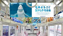 えっ、電車が水族館に！？移動中に癒される『生きもの写真展』が開催中