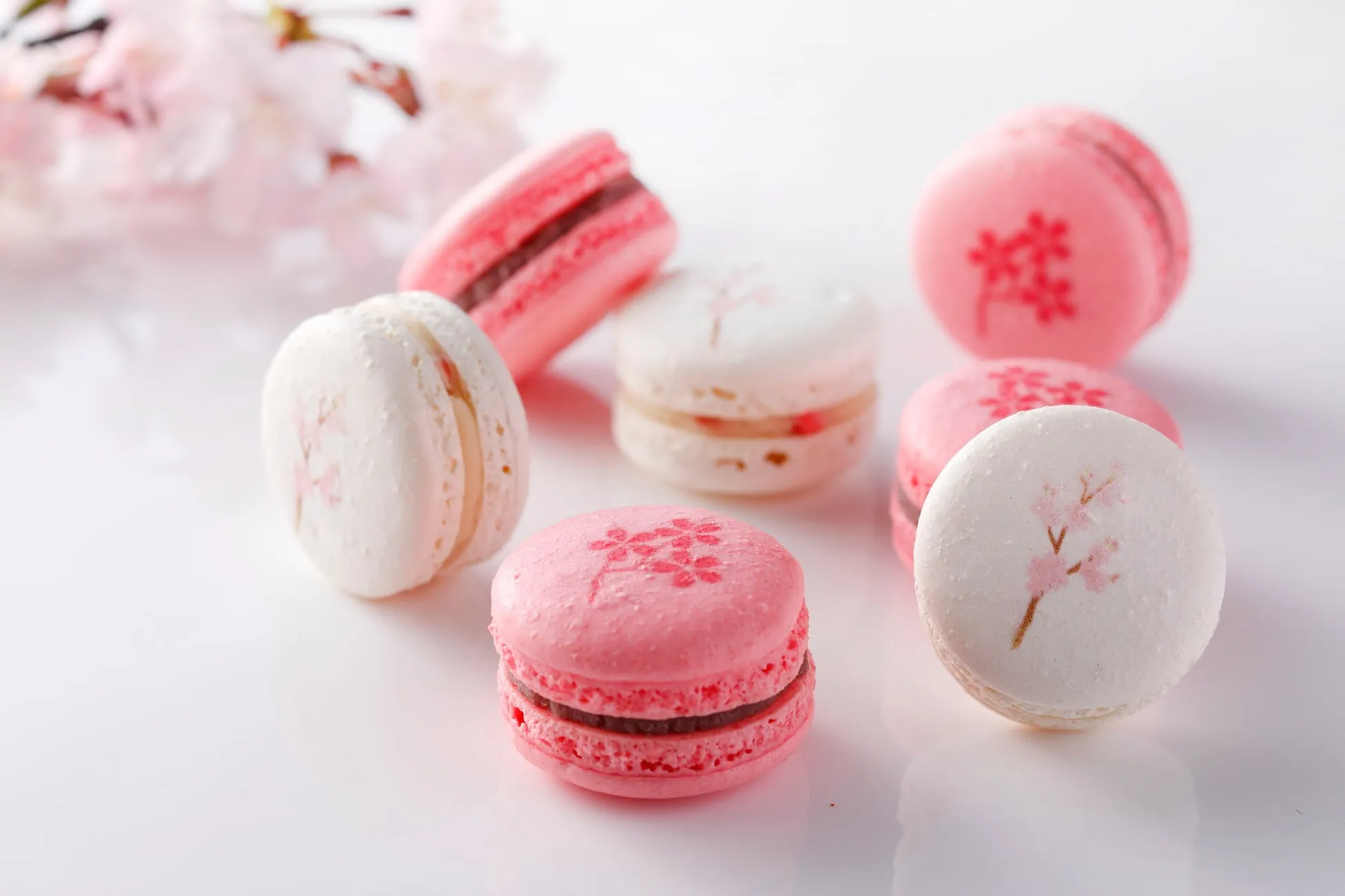桜と銘酒が織りなす春限定マカロン『新桜マカロン』