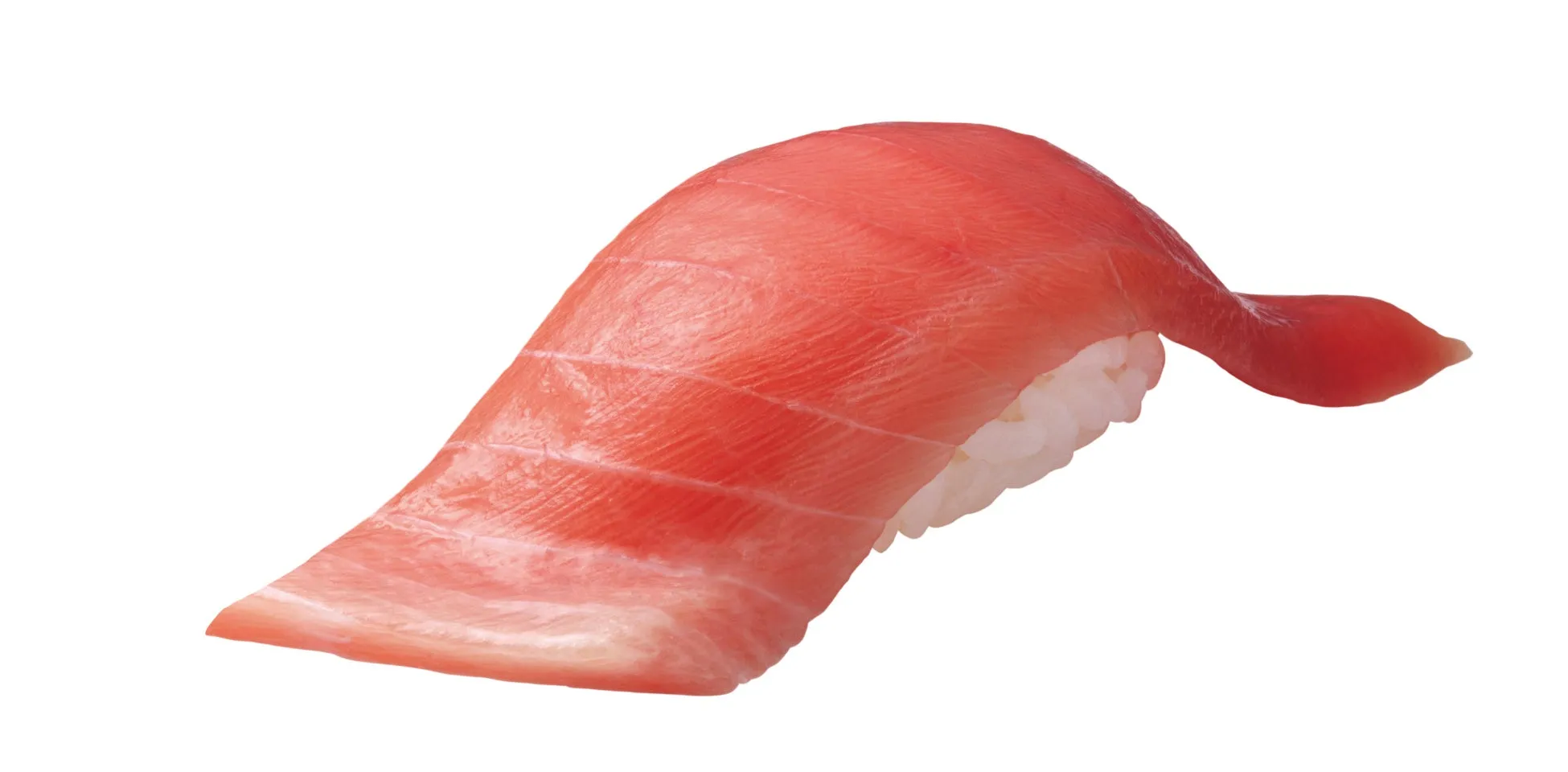 地中海産 大切り本鮪中とろ 290円（税込319円）