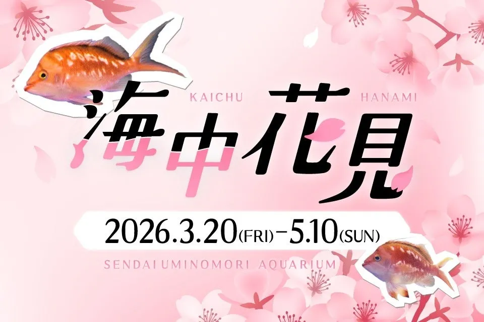 海中花見のイベント告知画像