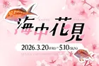仙台うみの杜水族館「海中花見」開催！桜と海の幻想空間【2026春】