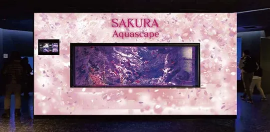 SAKURA Aquascape展示
