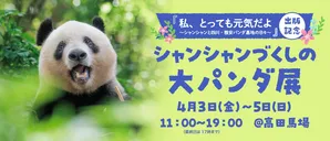 【最新】シャンシャン新写真公開！大パンダ展の見どころまとめ