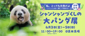 【最新】シャンシャン新写真公開！大パンダ展の見どころまとめ