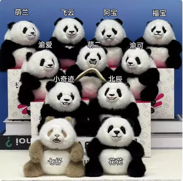 中国国内でしか手に入らないパンダグッズ、千尋日記の13種類のマスコットシリーズ