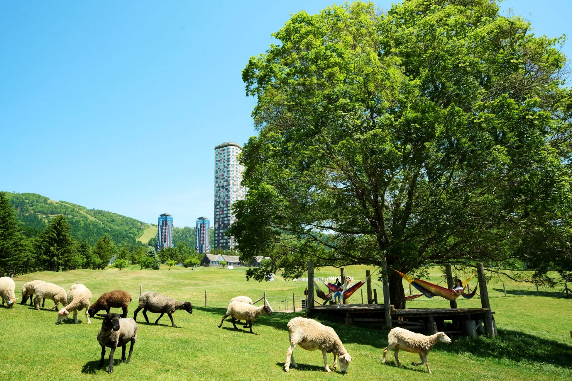 約100ヘクタールの広さを誇るファームエリア