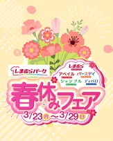 【春セール】しまむらで新作＆お得商品が一斉登場