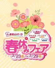 【春セール】しまむらで新作＆お得商品が一斉登場