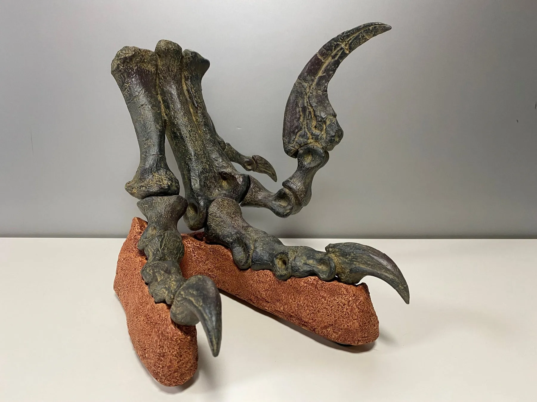 ユタラプトル脚