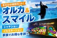 鴨川シーワールド＆東京ドイツ村イルミネーションをお得に巡る冬限定セ...
