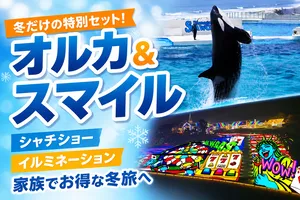 鴨川シーワールド＆東京ドイツ村イルミネーションをお得に巡...