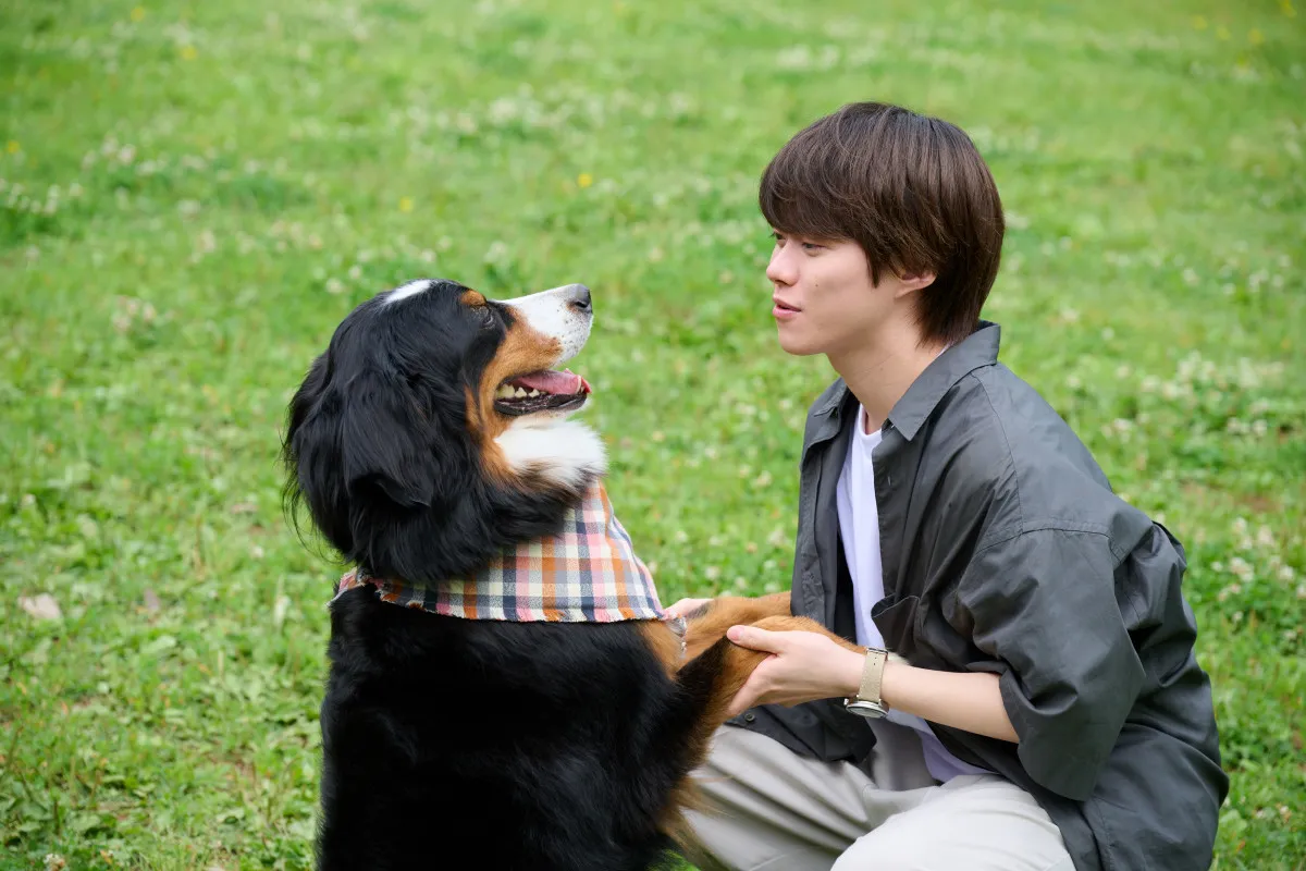 大橋和也『リベンジ・スパイ』第2話の見どころは「きゃあー!…言えない(笑)」 渋谷凪咲“花”の素顔にドキドキ